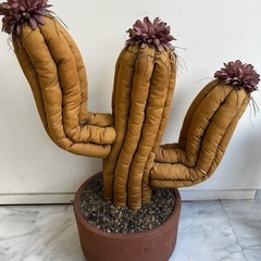 サボテンぬいぐるみインテリアの画像