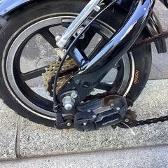 🚴 Nano12インチの画像