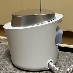 Panasonicスチーマー ナノケア/W温冷エステの画像