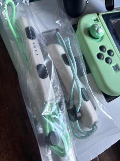 今だけお値下げ✨あつ森限定 任天堂Switch