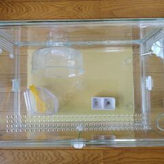 ハムスターのケージセットの画像