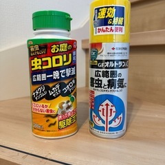 家庭菜園の画像