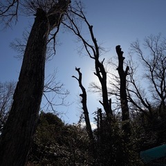 薪ありますの画像