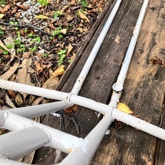 ハンモックの代の画像