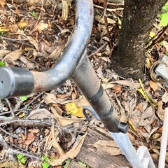 ハンモックの代の画像