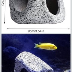 アクアリウム　オブジェの画像