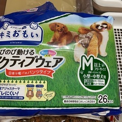犬用　トイレトレーなどいろいろの画像