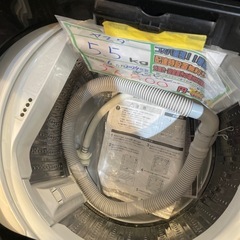 配送可【ヤマダ】5.5K洗濯機★2024年製　分解クリーニング済み/6ヶ月保証付き【管理番号0130】野の画像