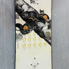 Burton バートン スノーボード 板の画像