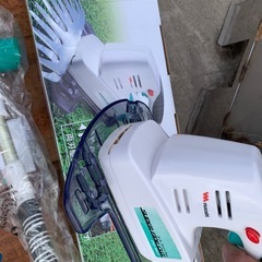 ガーデンバリカンの画像