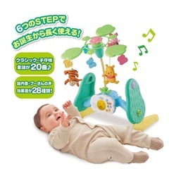 プーメリーの画像