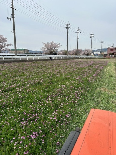 取引先決定　飼料　鶏　小鳥えさ