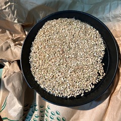 飼料　鶏　小鳥えさの画像