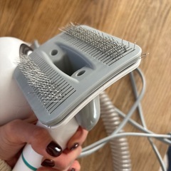 犬　ニーボットの画像