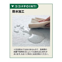 【ベルメゾン】アンダーラグ（防水）の画像