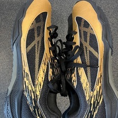 アシックス　スニーカーの画像