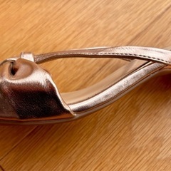 【23〜24】インドサンダルの画像