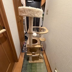 キャットタワー　美品の画像