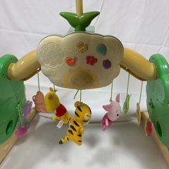 【ジャンク】プーメリーの画像