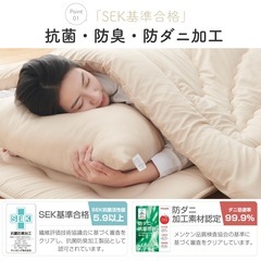 布団セット シングル ４点セット 寝具セット 洗える 来客用布団セット SEK認証抗菌防臭・防ダニ 【高密度固綿入り 三層敷布団・中綿1.6kg掛け布団・枕・収納ケース】ピーチスキン加工 ホコリ出にくい オールシーズン 新生活 コンパクト 低ホルムアルデヒド 柔らかい ベージュの画像
