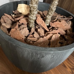 フェイクグリーン　人工観葉植物の画像