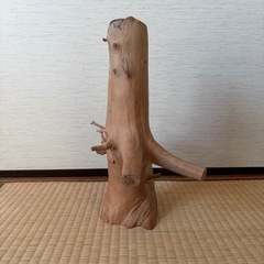 木材　オブジェ 自然な形状の画像