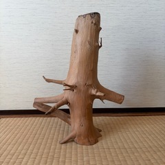 木材　オブジェ 自然な形状の画像