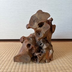 木材　オブジェ 自然な形状 茶色の画像