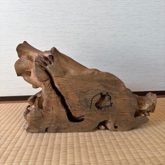木材　オブジェ 自然な形状 茶色の画像