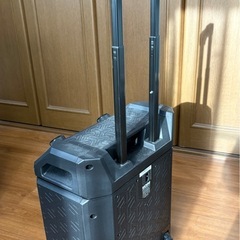 マイクスピーカー　ION BLOCK ROCKER PLUSの画像