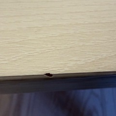 【引き取り限定】Franc franc フランフラン　こたつの画像