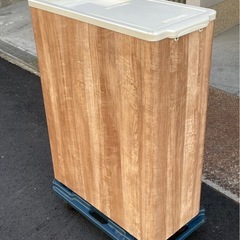 【動確済み】Panasonic 小型冷凍ストッカー SCR-S65 62L 単相 100V 幅710×奥340×高さ865(mm) スライド扉 縦型 パナソニック 冷凍庫 大阪の画像