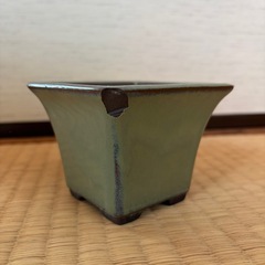 緑色 陶器 四角形 盆栽鉢の画像