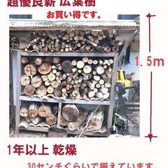 薪　激安！大人気！薪ストーブ用乾燥薪・キャンプ用薪☆☆ 1年前に伐採した　超優良樫の木＆広葉樹&たくさんおまけ付き！軽トラ1台分11000円 　激安！薪で快適な時間をお過ごしください。残りわずか。３の画像