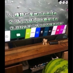 55型LGテレビの画像