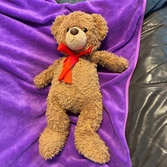 もりのくまさん🐻の画像