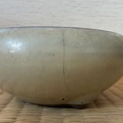 陶器製 盆栽鉢 丸型 の画像