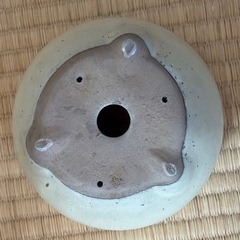 陶器製 盆栽鉢 丸型 の画像