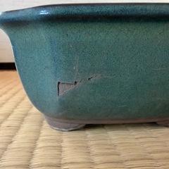 緑色 植木鉢 の画像