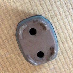 緑色 植木鉢 の画像