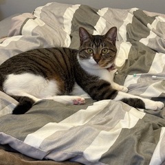 女の子　1歳7ヶ月です。