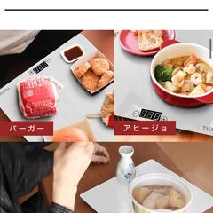 サンコー フードウォーマープレート THA0203 未使用品の画像