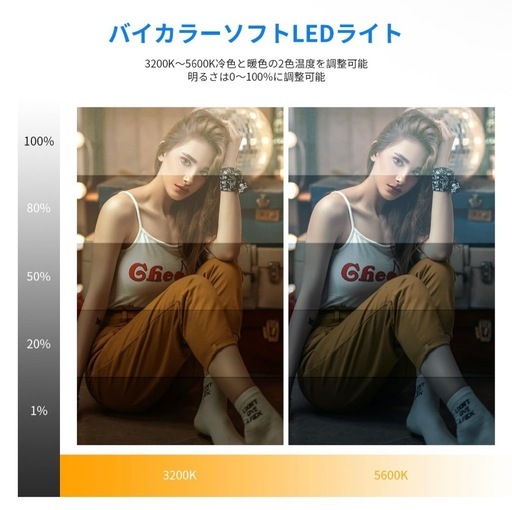 NEEWER 
10.6インチLEDライト