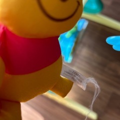 プーメリーの画像