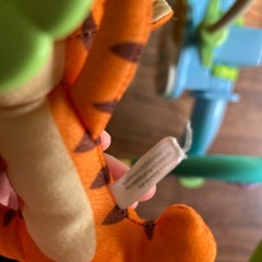 プーメリーの画像