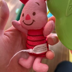 プーメリーの画像