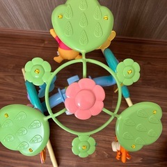 プーメリーの画像