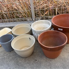 植木鉢などの画像