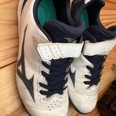 スパイクの画像