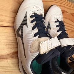 スパイクの画像